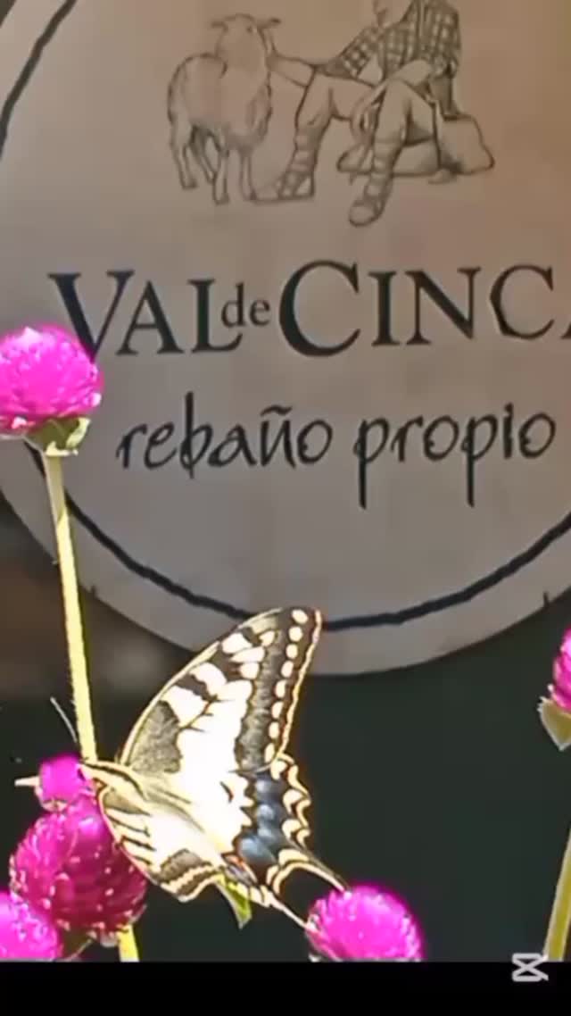 Fue un verdadero orgullo y placer que el Colegio oficial de Veterinarios de #huesca eligiera, en su 125 aniversario, visitar nuestra quesería #valdecinca y nuestro pueblo #fonz y celebrarlo con nosotros.

@fonzcofita 
@fonzturismo